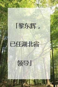 黎东辉，已任湖北省领导