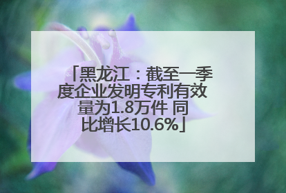 黑龙江：截至一季度企业发明专利有效量为1.8万件 同比增长10.6%