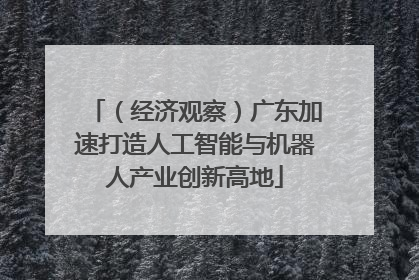 （经济观察）广东加速打造人工智能与机器人产业创新高地
