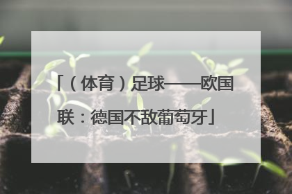 （体育）足球——欧国联：德国不敌葡萄牙