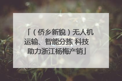 （侨乡新貌）无人机运输、智能分拣 科技助力浙江杨梅产销