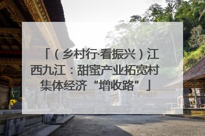 （乡村行·看振兴）江西九江：甜蜜产业拓宽村集体经济“增收路”