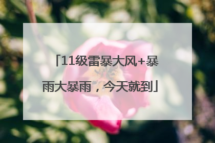 11级雷暴大风+暴雨大暴雨，今天就到