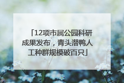 12项市属公园科研成果发布，青头潜鸭人工种群规模破百只