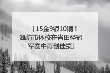 15金9银10铜！潍坊市体校在省田径冠军赛中再创佳绩