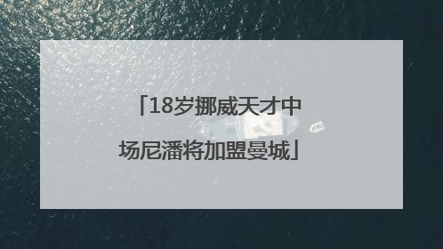 18岁挪威天才中场尼潘将加盟曼城