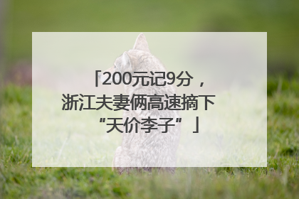 200元记9分，浙江夫妻俩高速摘下“天价李子”