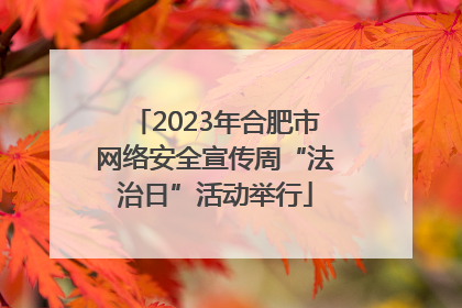 2023年合肥市网络安全宣传周“法治日”活动举行