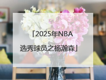 2025年NBA选秀球员之杨瀚森