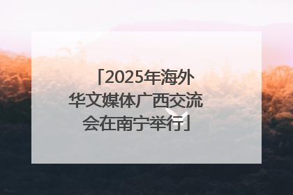 2025年海外华文媒体广西交流会在南宁举行