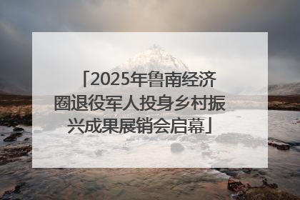 2025年鲁南经济圈退役军人投身乡村振兴成果展销会启幕