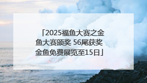2025福鱼大赛之金鱼大赛颁奖 56尾获奖金鱼免费展览至15日