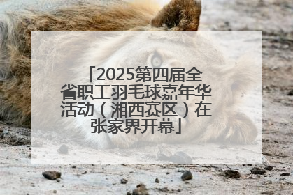 2025第四届全省职工羽毛球嘉年华活动（湘西赛区）在张家界开幕