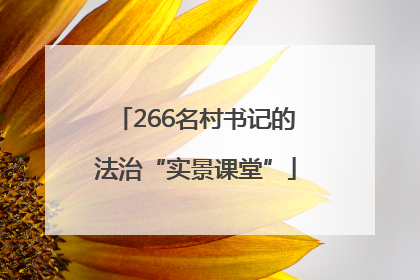 266名村书记的法治“实景课堂”