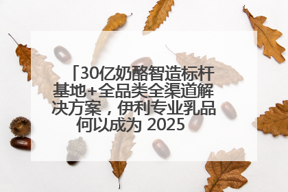 30亿奶酪智造标杆基地+全品类全渠道解决方案，伊利专业乳品何以成为 2025 焙烤展 MV