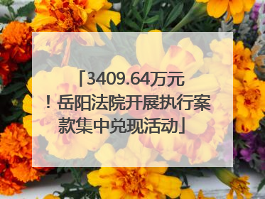 3409.64万元！岳阳法院开展执行案款集中兑现活动