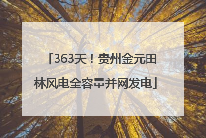 363天！贵州金元田林风电全容量并网发电