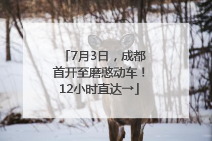 7月3日，成都首开至磨憨动车！12小时直达→