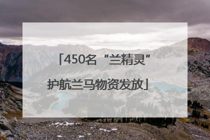 450名“兰精灵”护航兰马物资发放