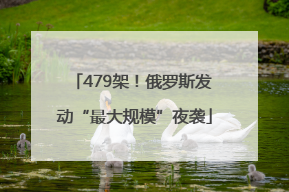 479架！俄罗斯发动“最大规模”夜袭