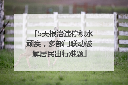 5天根治违停积水顽疾，多部门联动破解居民出行难题