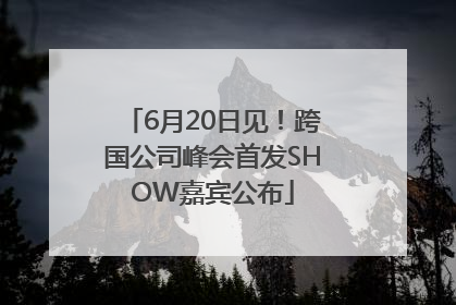 6月20日见！跨国公司峰会首发SHOW嘉宾公布