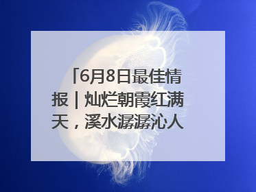6月8日最佳情报｜灿烂朝霞红满天，溪水潺潺沁人心！恭喜获奖