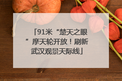 91米“楚天之眼”摩天轮开放！刷新武汉观景天际线