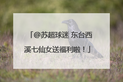 @苏超球迷 东台西溪七仙女送福利啦！