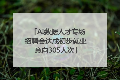AI数据人才专场招聘会达成初步就业意向305人次